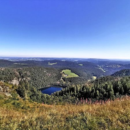 Residenz Grafenmatt "Abendsonne" Apartment Feldberg  Bagian luar foto