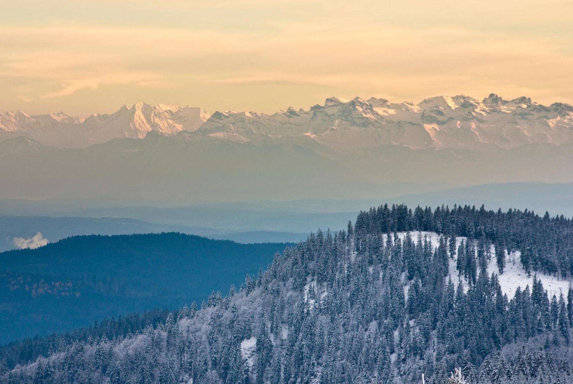 Residenz Grafenmatt "Abendsonne", Feldberg Apartment Rinken Bagian luar foto