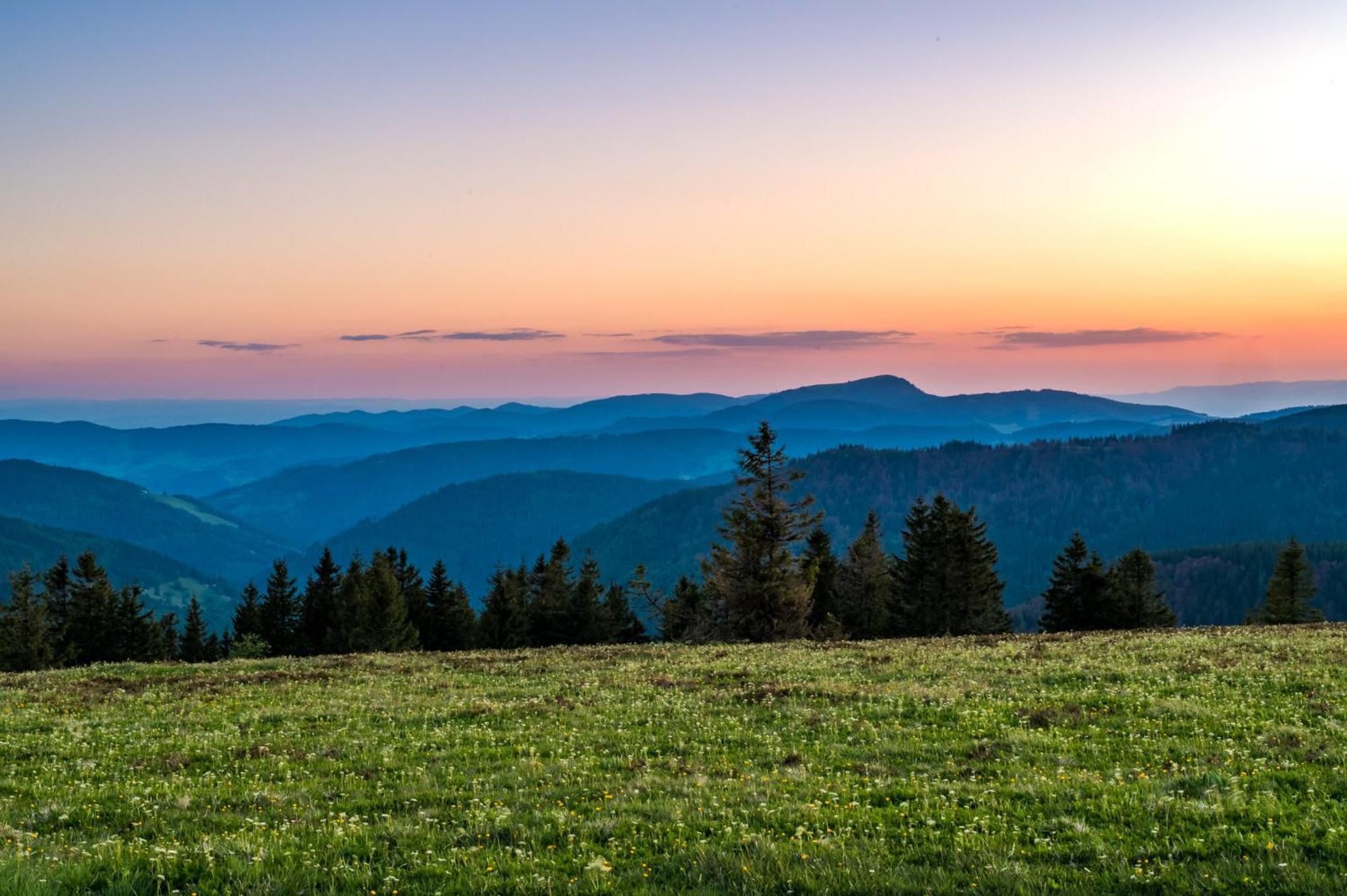 Residenz Grafenmatt "Abendsonne", Feldberg Apartment Rinken Bagian luar foto